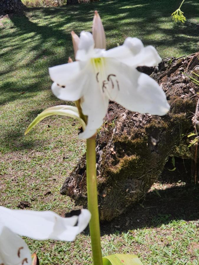 Recanto Das Borboletas São Roque Kültér fotó