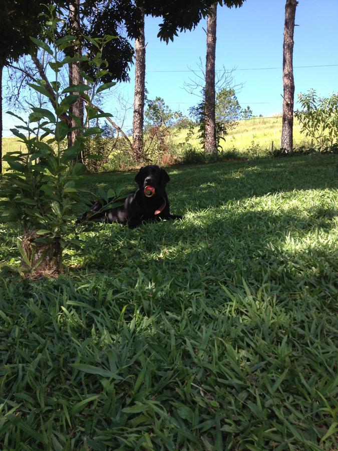 Recanto Das Borboletas São Roque Kültér fotó