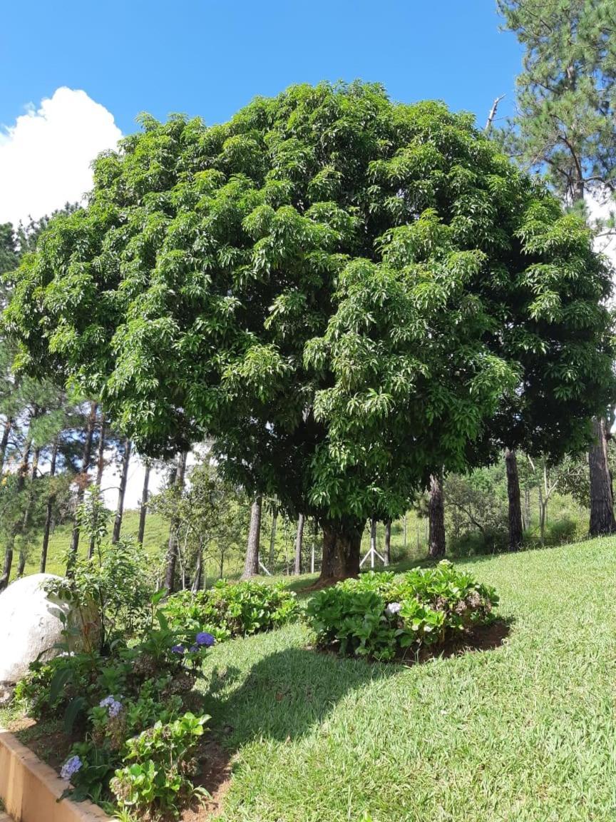 Recanto Das Borboletas São Roque Kültér fotó